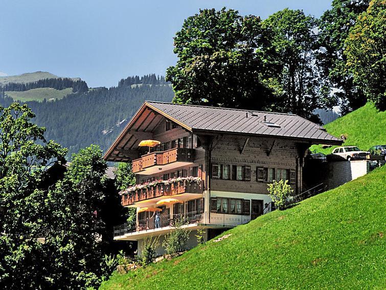 Chalet Aphrodite West Apartment Grindelwald Bagian luar foto
