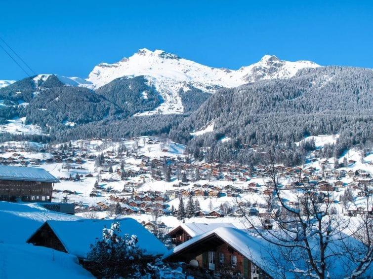 Chalet Aphrodite West Apartment Grindelwald Bagian luar foto